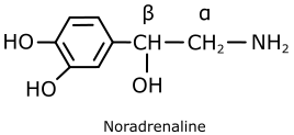 Noradrenaline structure